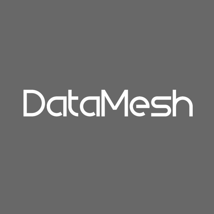 Datamesh Grey White Logo